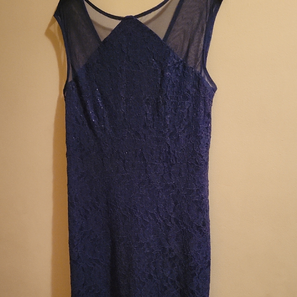 Elegant Navy Lace Dress
